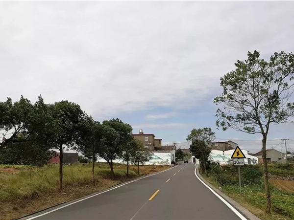 桐乡杭州市政道路施工时间段深度剖析：平衡建设与城市生活